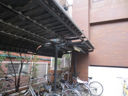 IMG_2135 IMG_2135