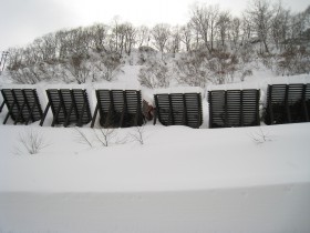 IMG_4378 IMG_4378