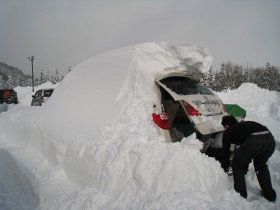 IMG_4379 IMG_4379