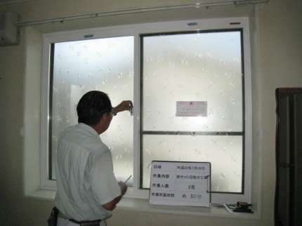 IMG_5376 IMG_5376